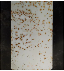 Ϳ���÷��W�P������Щ�N���οƌW(xu��)ʹ�ã� Ϳ���ھ�,coatingol.com